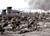 Large-d-day-anniversary (1)_tiny